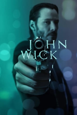 John Wick (2014)